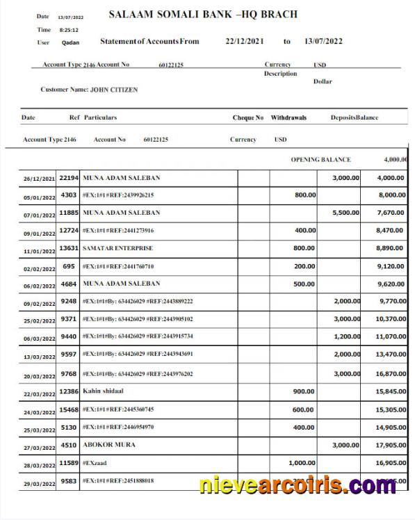 Somali Salaam Somali bank statement Word and PDF w
